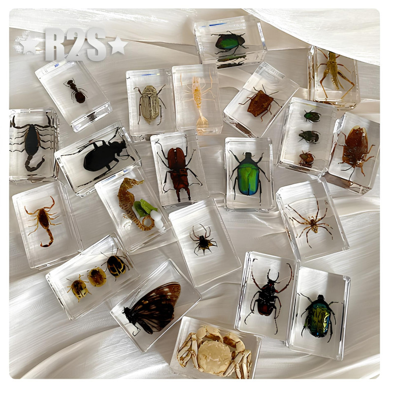 Set de insectos en resina 12 piezas Se añaden a la colección y también se pueden utilizar como decoración de mesa.