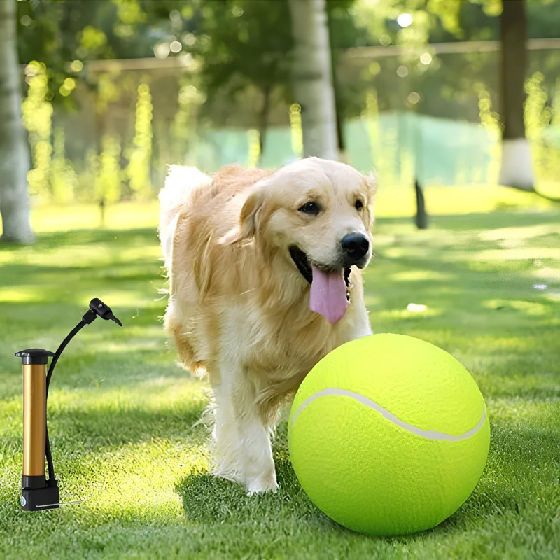 Pelota de tenis inflable grande para perros de 24 cm, juguete interactivo resistente a la mordida para razas grandes